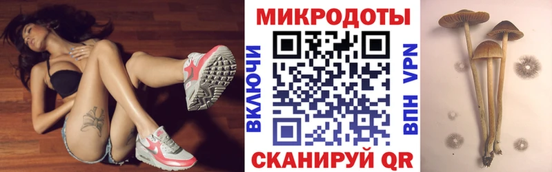 kraken ССЫЛКА  Казань  сайты даркнета официальный сайт  Галлюциногенные грибы Magic Shrooms 